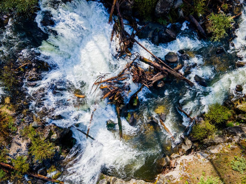 Top-down drone view of whitewater rushing over rocks and fallen logs