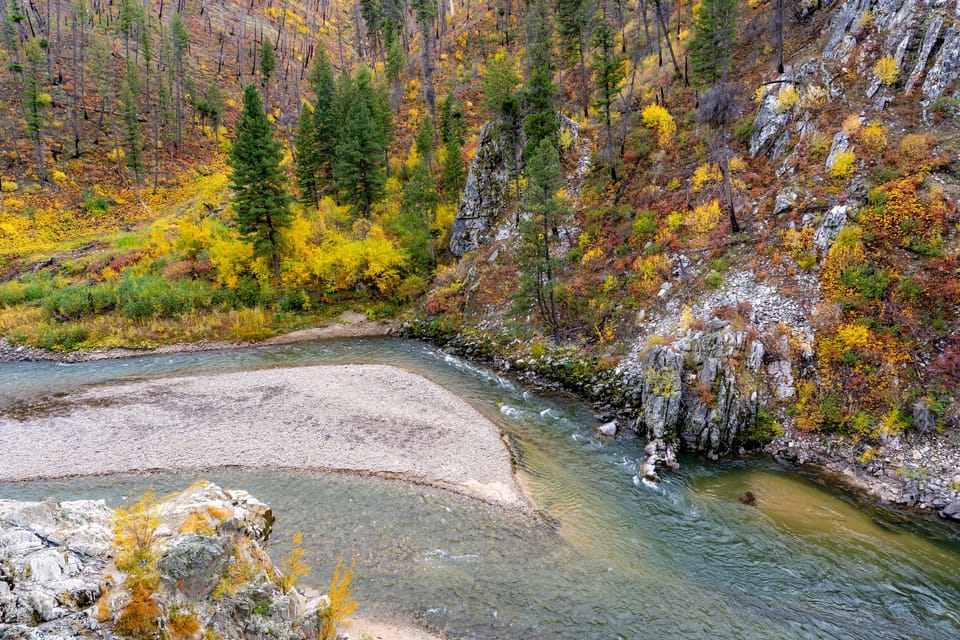 River bend through a canyon with yellow autumn foliage and evergreens