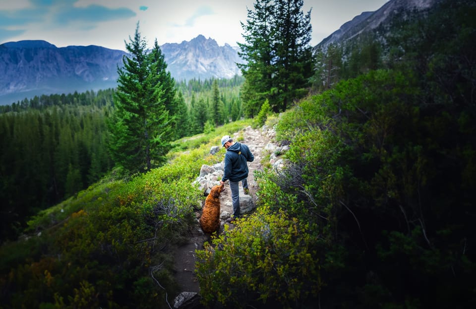 Hiker and golden dog on a green mountain trail with peaks ahead