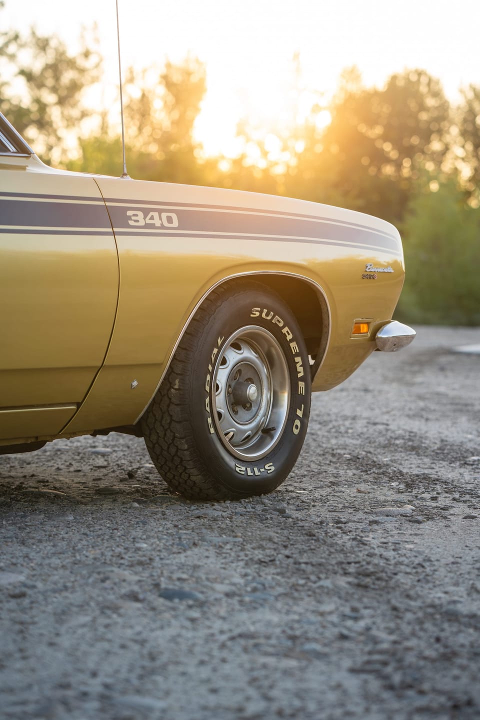 Low detail view of a gold Barracuda's rear wheel and 340 badge in warm backlight